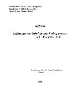 Referat - Influența mediului de marketing asupra SC Vel Pitar SA