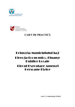 Proiect - Monografie Primăria Iași