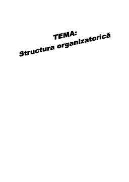 Proiect - Structura Organizatorică