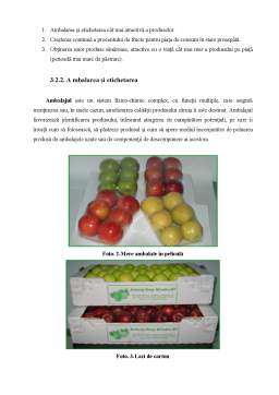 Proiect - Marketingul fructelor la SC Fructera SA Bârlad