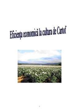 Proiect - Eficiența Economică la Cultura de Cartof