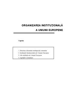 Referat - Organizarea Uniunii Europene