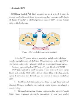 Laborator - Protocolul OSPF și BGP
