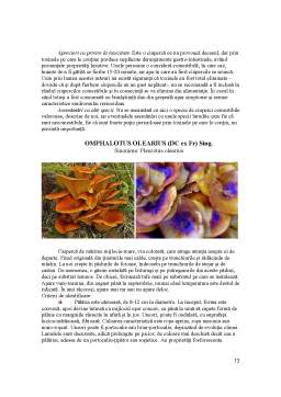 Proiect - Ciuperci Halucinogene