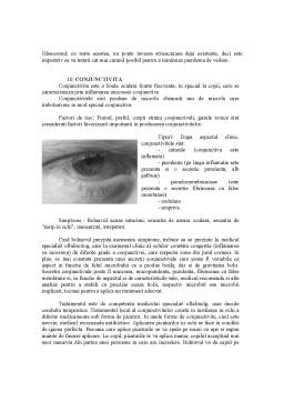 Referat - Igiena și patologia organelor de simț - ochiul
