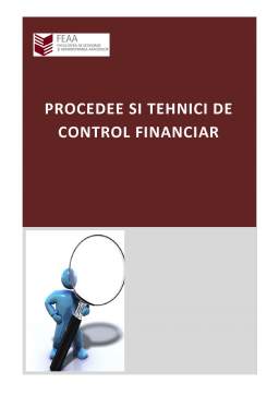 Proiect - Procedee și Tehnici de Control Financiar