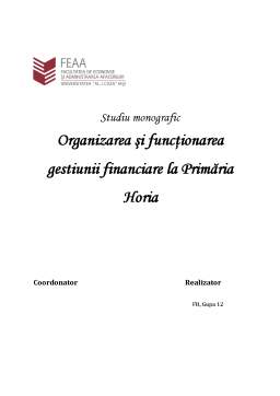 Proiect - Monografie administrație publică - organizarea și funcționarea gestiunii financiare la Primăria Horia