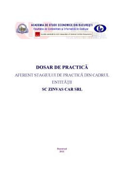 Proiect - Practică în cadrul entității SC Zinvas Car SRL