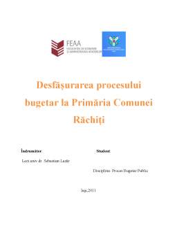 Proiect - Desfășurarea Procesului Bugetar la Primăria Comunei Răchiți