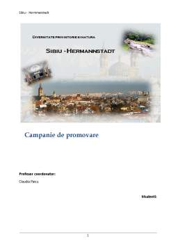 Proiect - Campanie de Promovare Sibiu