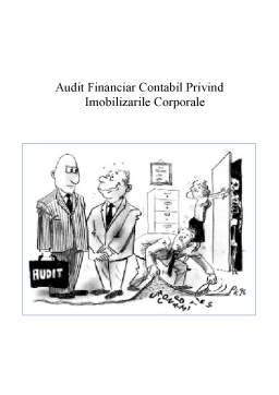 Proiect - Auditul financiar privind imobilizările corporale