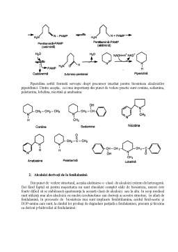 Referat - Metabolismul Aminoacizilor