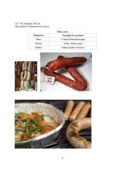 Referat - Ambalaje - membrană naturală și artificială la preparatele din carne
