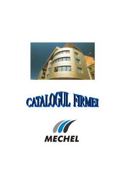 Proiect - Studiul privind imobilizările la SC Mechel SA