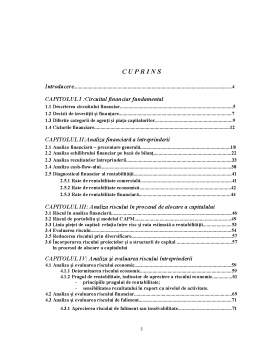 Licență - Analiza financiară și evaluarea riscului în vederea creditării la SC Sinmatex SA Bistrița