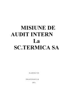 Proiect - Misiunea de audit intern la SC Termica SA