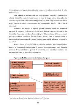 Proiect - Condițiile aplicării dreptului comunitar concurențial intreprinderilor. Înțelegerea și autonomia participanților