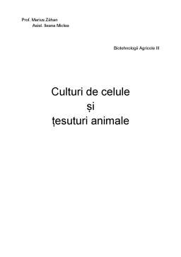 Referat - Culturi de Celule și Țesuturi Animale