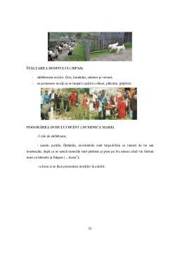 Proiect - Studiu de evaluare a resurselor turistice locale - Satul Paltinu