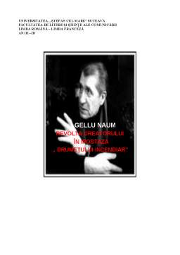 Referat - Revolta creatorului - Gellu Naum