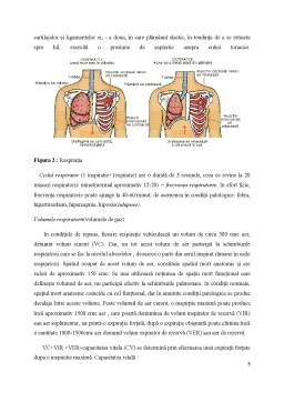 Licență - Astmul Bronșic - Implementarea unui Plan de Acțiune pentru Controlul Bolii