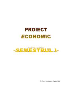 Proiect - Auditul Fiscal Privind Salariile