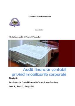 Proiect - Auditul financiar al imobilizărilor corporale