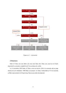 Referat - Bank of China - Monografie