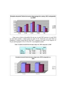 Referat - Analiza statistică a forței de muncă la întreprinderea SC XYZ SRL în perioada 2005-2010