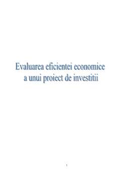 Proiect - Evaluarea eficienței economice a unui proiect de investiții