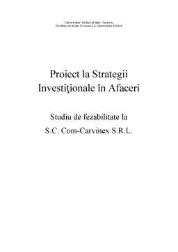 Proiect - Strategii investiționale în afaceri - studiu de fezabilitate la SC Com Carvinex SRL