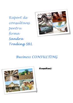 Proiect - Raport de consultanță pentru firma SC Sandra Trading SRL