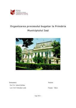 Proiect - Organizarea Procesului Bugetar la Primăria Municipiului Iași