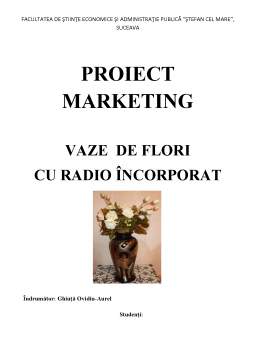 Proiect - Vaze de Flori cu Radio Încorporat