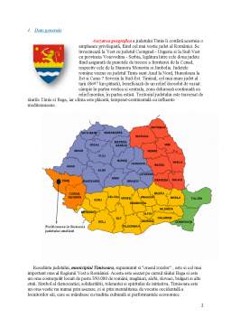 Proiect - Economie regională - Județul Timiș