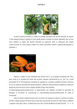 Referat - Enzime proteolitice de origine vegetală - papaină