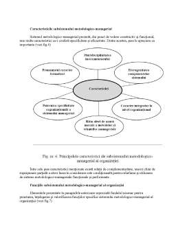 Referat - Sistemul de Management - Subsistemul Metodologico-Managerial