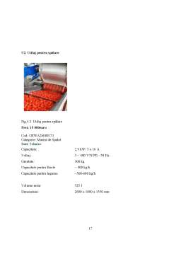 Proiect - Managementul producției și operațiilor - legume fructe congelate