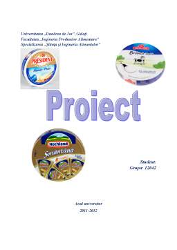 Proiect - Protecția Consumatorului