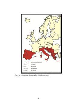 Proiect - Hazarde tehnologice din zona Europei de Sud