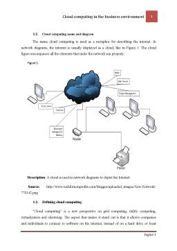 Proiect - Cloud Computing în the Business Environment