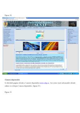 Proiect - Servicii Publice Online - Descriere Site E-guvernare.Ro