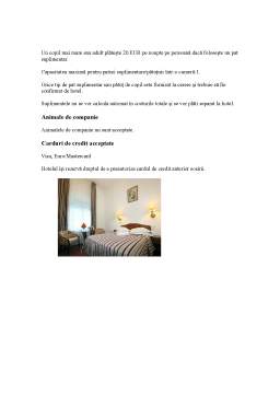 Proiect - Plan de Marketing Turistic - Hotel Sinaia