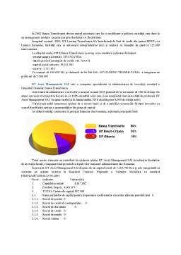 Proiect - Regrupări de întreprinderi pe piața românească. grupuri naționale. brand-uri românești de succes