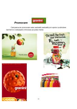 Proiect - Ambalaje și design în industria alimentară - produsul sucul natural de fructe Granini