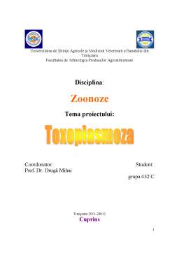 Proiect - Toxoplasmoză