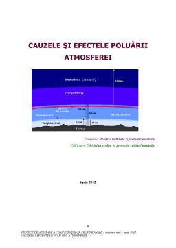 Proiect - Cauzele și Efectele Poluării Atmosferei
