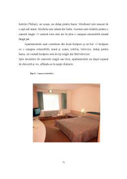 Proiect - Lanțurile hoteliere internaționale - studiu de caz lanțul Accor. Hotel Ibis, Gara de Nord, București