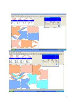 Proiect - Sisteme CAD pentru confecții din tricot