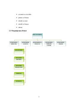 Proiect - Analiza și evaluarea operațiunilor logistice la nivelul firmei SC Melange Com SRL
